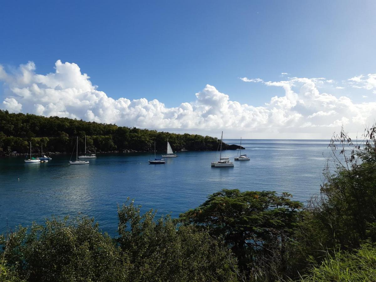 Les Gites Capra - Papaye Bouillante Exterior foto